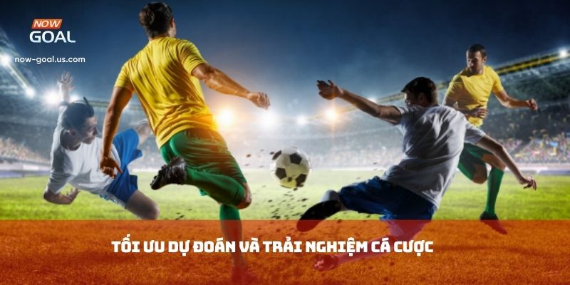 Tối ưu dự đoán và trải nghiệm cá cược