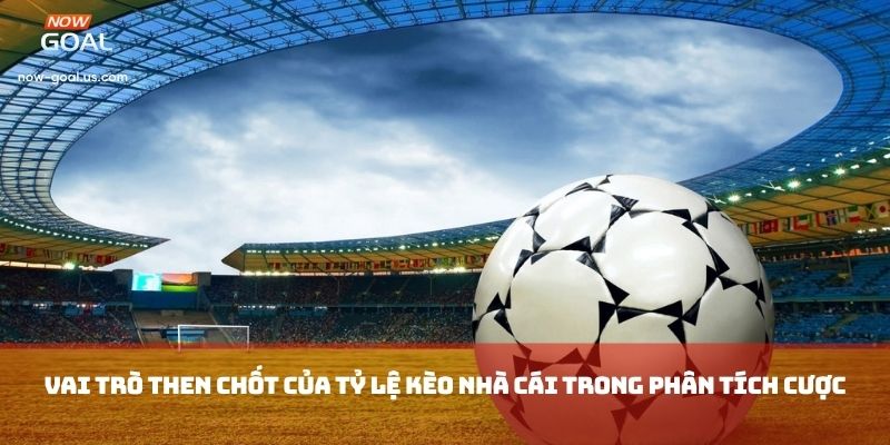 Vai trò then chốt của tỷ lệ kèo nhà cái trong phân tích cược